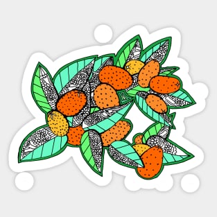 Juicy Ripe California Kumquats with Pop Art Leaves Sticker